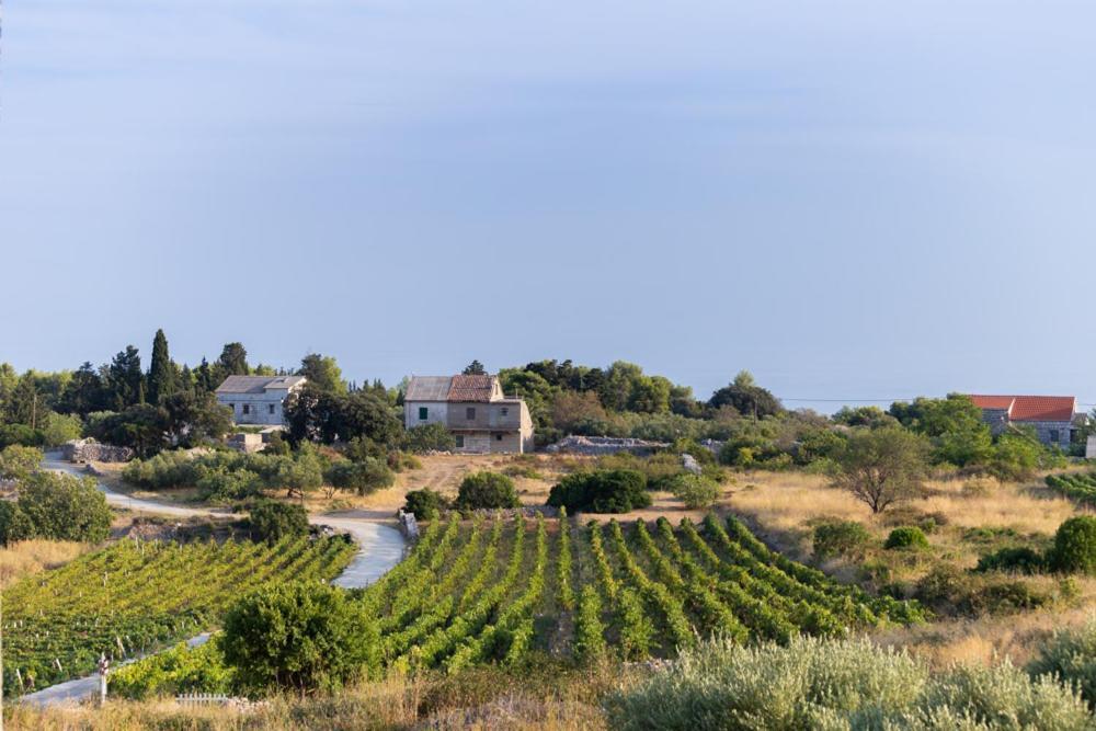 Holiday Home Burba Komiža Dış mekan fotoğraf