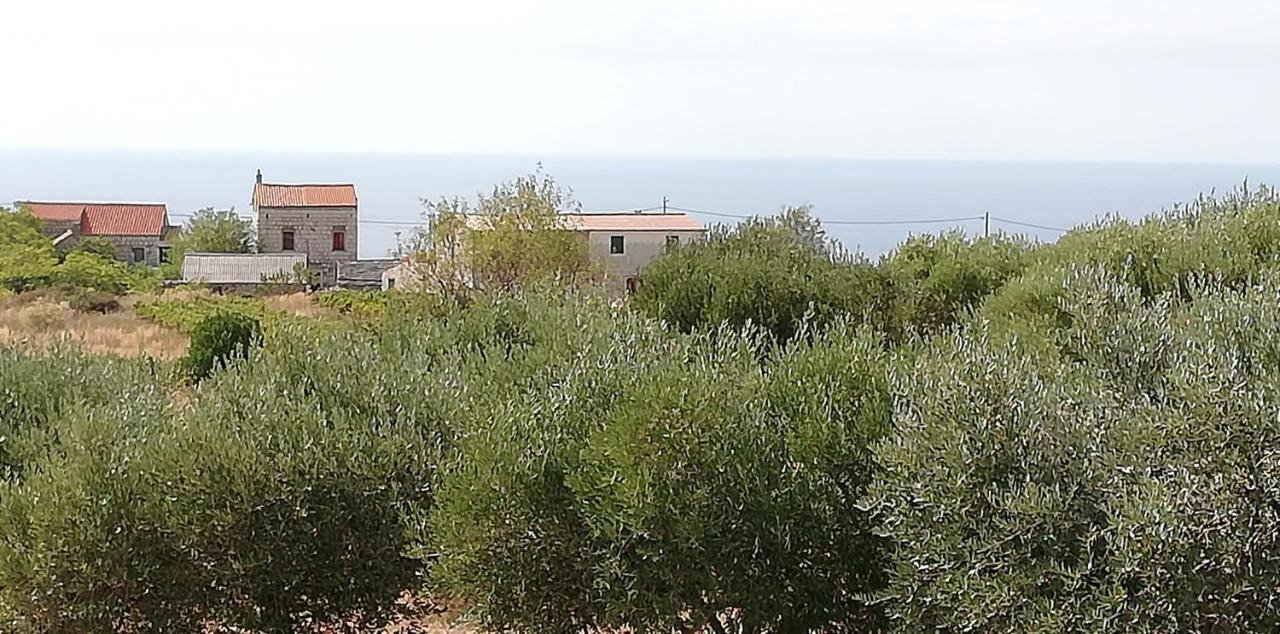 Holiday Home Burba Komiža Dış mekan fotoğraf